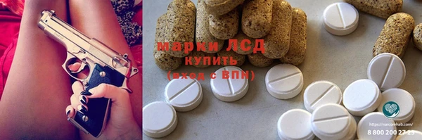 прущие грибы Киренск