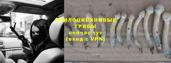 гашик Киреевск