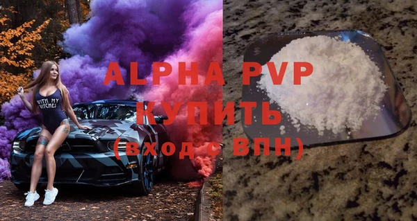 прущие грибы Киренск