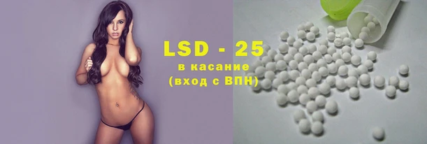 прущие грибы Киренск