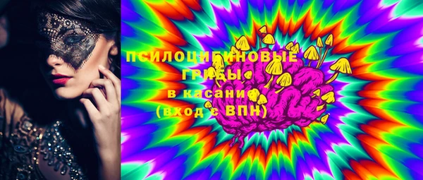 прущие грибы Киренск