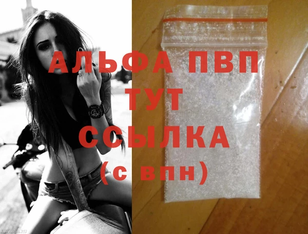 прущие грибы Киренск
